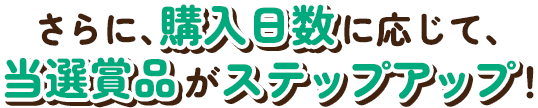 さらに、購入日数に応じて、当選商品がステップアップ！