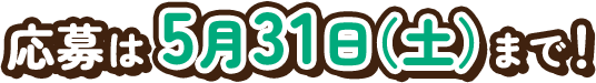 応募は5月31日（土）まで！